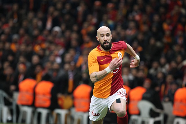 尔夫斯堡的 尔夫斯堡的